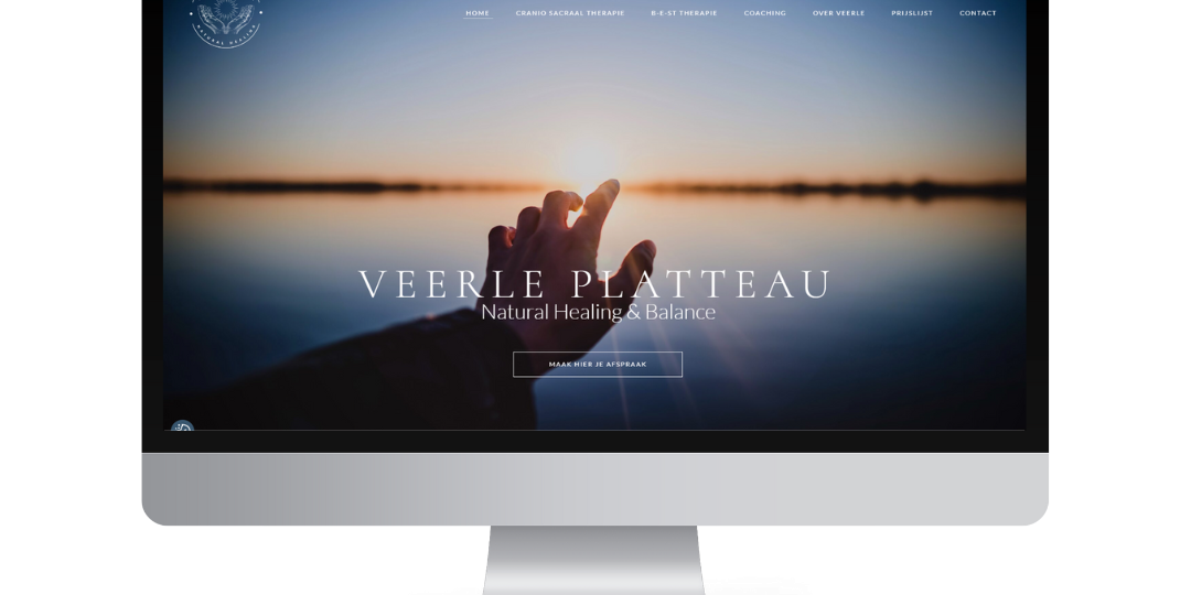 VP Website